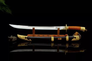 仗剑江湖梦 唐刀汉剑，咫尺天涯的侠客之门