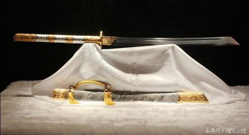 龙吟出鞘 康熙御用战刀的艺术鉴赏与历史回响